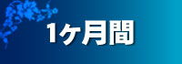 もっと長く使いたいなら 1ヶ月着用可能 コスパ良い!