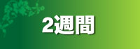 2週間快適で鮮明に 2 Weeks用ゴスパ商品