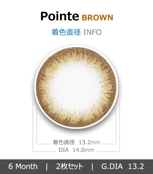 [ブラウン/BROWN] ポアント4