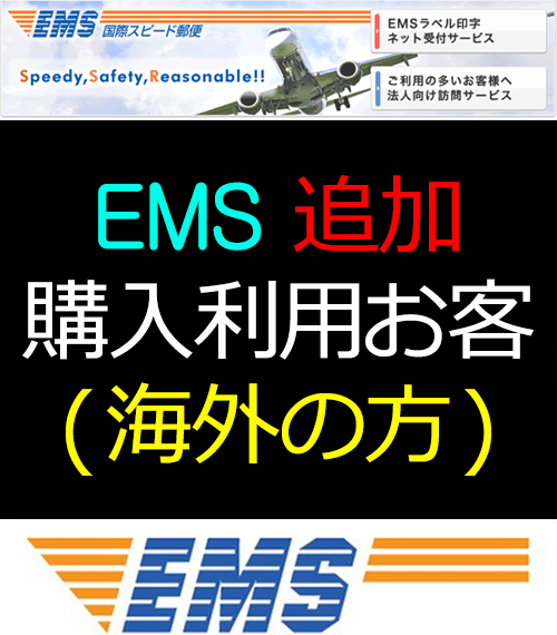 EMS 追加料金 (海外の方+1380円)4
