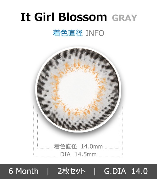 [グレー/GRAY] イット・ガール ブロッサム4