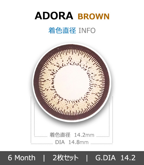 [ブラウン/BROWN] アドラ4
