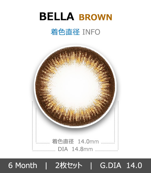 [ブラウン/BROWN] ベラ4