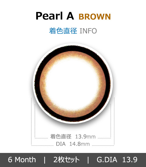 [ブラウン/BROWN] パール A4