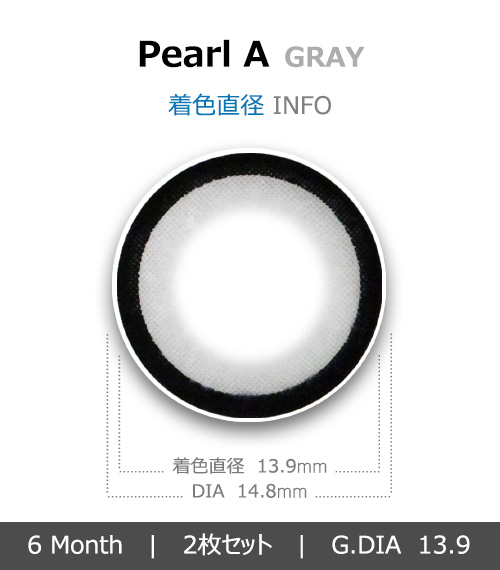 [グレー/GRAY] パール A4