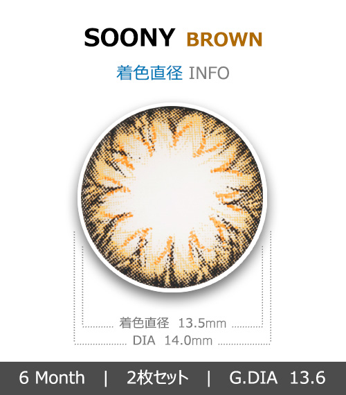[ブラウン/BROWN] スニー4