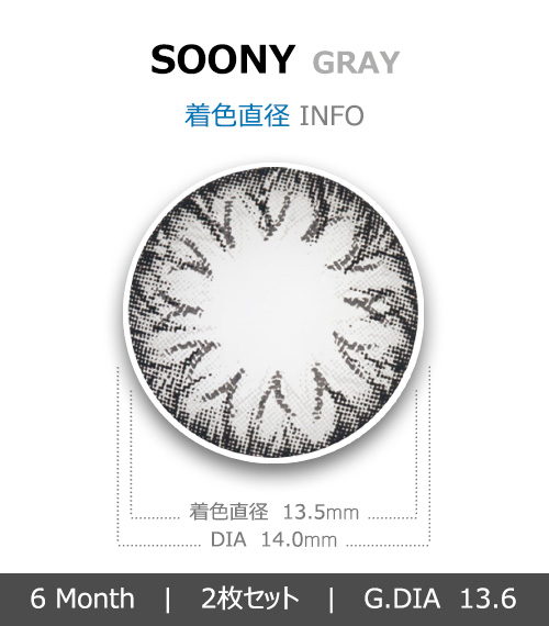 [グレー/GRAY] スニー4