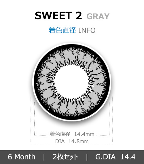 [グレー/GRAY] スイート 24
