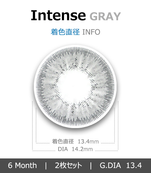 [グレー/GRAY] インテンス4