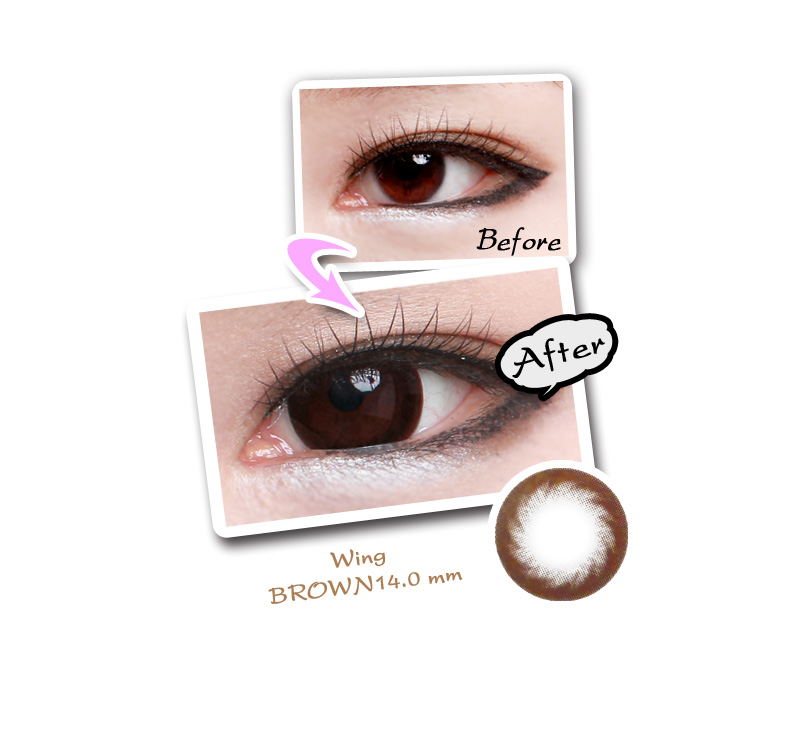 [ブラウン/BROWN] ウイング