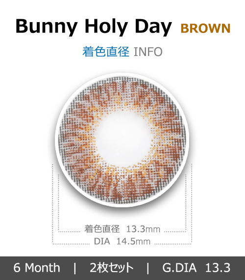 [ブラウン/BROWN] バニーホリデー4