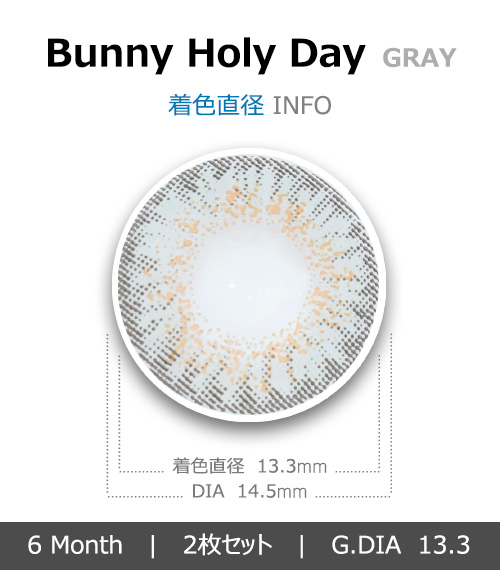 [グレー/GRAY] バニーホリデー4