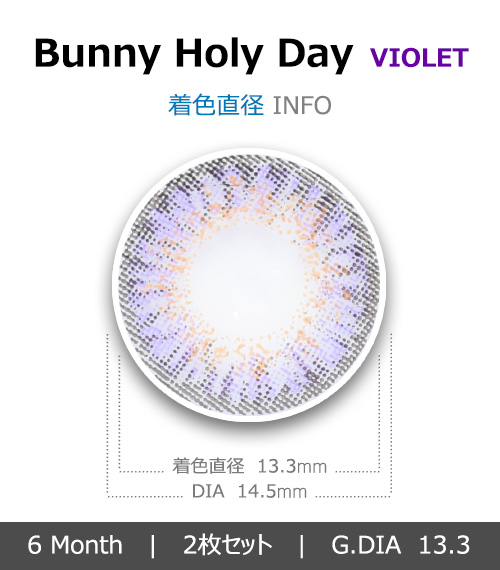 [バイオレット/VIOLET] バニーホリデー4