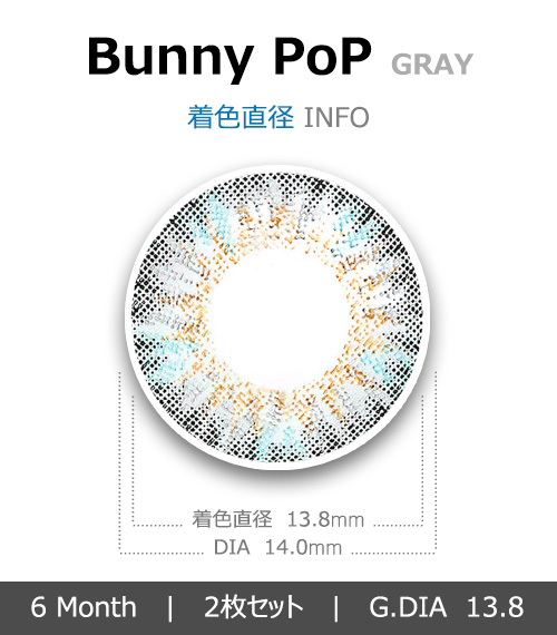 [グレー/GRAY] バニーポップ4