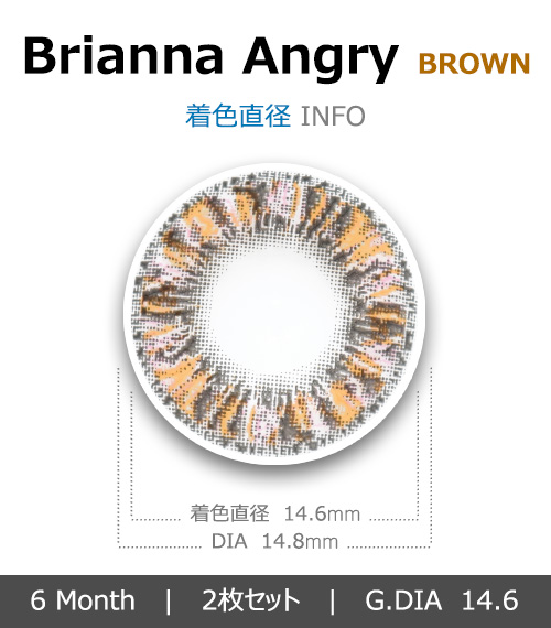 [ブラウン/BROWN] ブリアナ アングリー4