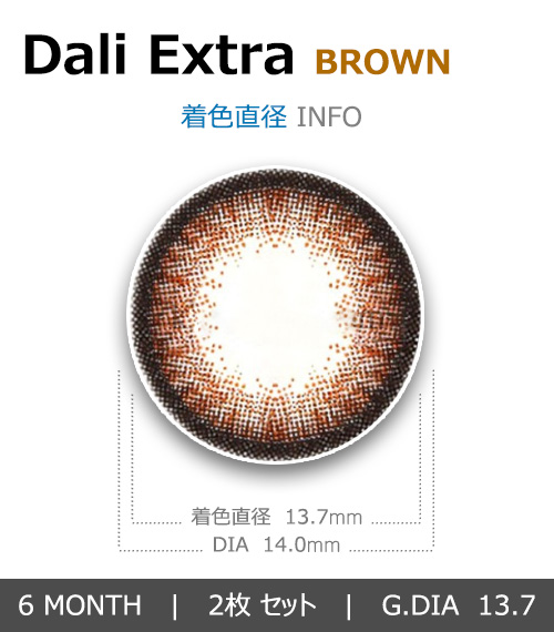 [ブラウン/BROWN] ダリエクストラ4