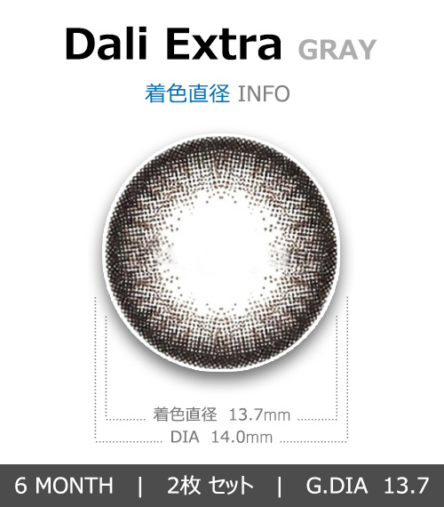 [グレー/GRAY] ダリエクストラ4