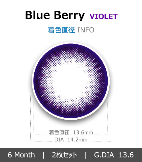 [バイオレット/VIOLET] ブルーベリー4
