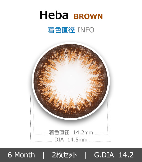 [ブラウン/BROWN] ヘーバ4