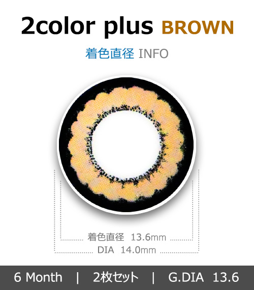 [ブラウン/BROWN] 2カラープラス4